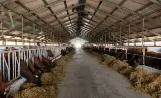 Атырауская область: урожайный дождь принес 116,8 млрд тенге в сельское хозяйство