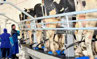 В СКО реализованы 84 инвестпроекта в агропромышленном комплексе с финансированием 200 млрд тенге