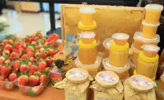 Актюбинская область: успехи программы «Ауыл аманаты»