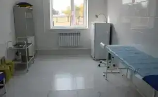 Новые медицинские острова заботы появятся в Карасайском районе