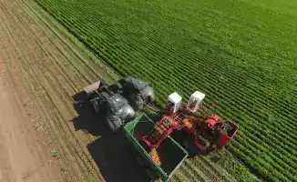 Акмолинская область: инвестиционный рост и развитие ключевых отраслей в Казахстане