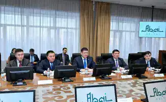 Аким области обсудил с индийскими инвесторами планы по строительству заводов в Семее и Курчатове