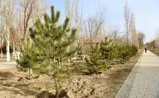 Новые зоны отдыха в Президентском парке