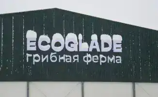 Открытие крупнейшей грибной фермы в регионе: новые рабочие места и рост производства