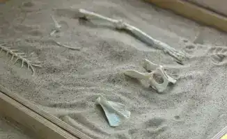 Семинар в Астане: Формирование профессиональной ориентации у детей через образовательные инициативы