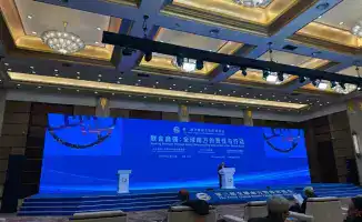 Казахстан и Глобальный Юг: Энергия будущего в Шанхае!