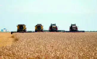 Кредитование для модернизации элеваторов в Казахстане: шаг к улучшению инфраструктуры хранения