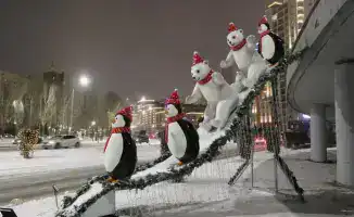 Зеленые насаждения в районе Есиль: как 202 тысячи новых деревьев изменили облик столицы