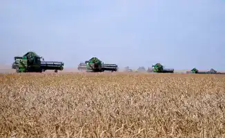 Акмолинская область стала лидером страны по валовому сбору зерновых