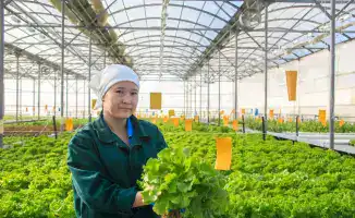 В Жетісу малый и средний бизнес расцветает: объем продукции вырос на 15,2%