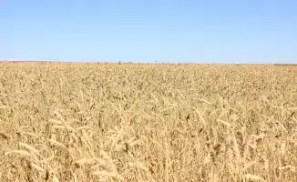 Караганда: урожай, инвестиции и новые рабочие места!