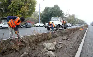 Аким Алматы сообщил о комплексном благоустройстве 11 улиц протяжённостью 49 километров