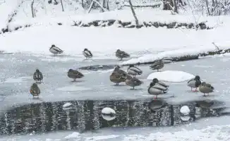 Арктический холод угрожает Казахстану: синоптики предупреждают о резком ухудшении погоды и возможных последствиях