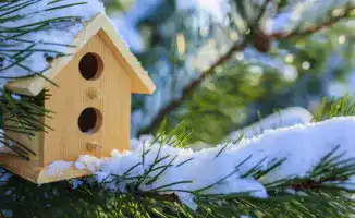 Зимние морозы: Астана под снегом, Алматы готовится к похолоданию