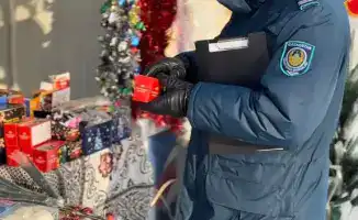 Меры безопасности в новогодние праздники от Департамента полиции ВКО