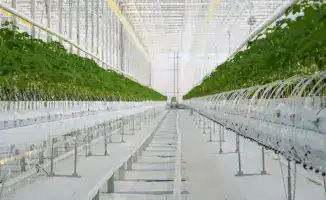 Депутаты Сената Парламента РК проверяют реализацию агропромышленных проектов в Туркестанской области