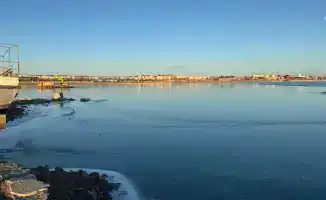 Очистка бухты Бертыс в Балхаше началась