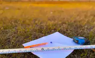 Неиспользуемые сельхозугодья возвращены в госсобственность: последствия для местного сельского хозяйства