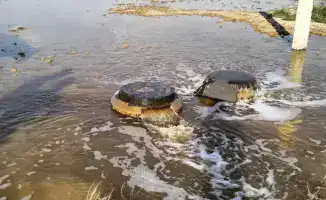 Предприятие «Karabatan Utility Solutions» оштрафовано за нарушение природоохранного законодательства и завершило восстановление окружающей среды