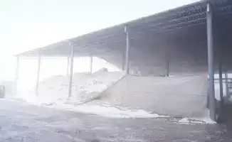 Хлопкоперерабатывающие предприятия Мактаарала экспорт в Китай Нуралхан Кушеров