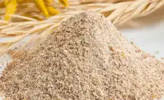 Развитие экспортных возможностей Казахстана через сотрудничество с Китаем в агропромышленности