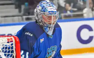 Московское 'Динамо' и 'Барыс': хоккей как объединяющий фактор для болельщиков в регулярном чемпионате КХЛ