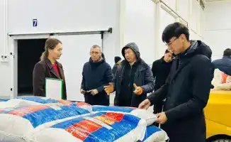 Туркестан: 30 заводов и 700 новых рабочих мест!