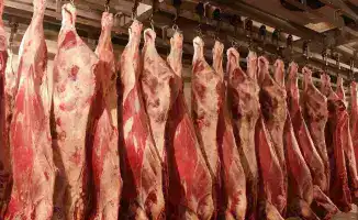 Производство мяса в России достигло 1,02 млн тонн за 11 месяцев 2025 года, увеличившись на 3% по сравнению с 2024 годом