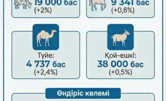 Увеличение посевных площадей в Махамбетском районе способствует развитию сельского хозяйства и росту животноводства