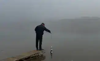 Экологическая инспекция провела 899 проверок и выявила 2540 нарушений за 10 месяцев 2025 года