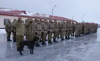Служба собаки в армии: новые возможности для патрулирования и повышения боевой готовности