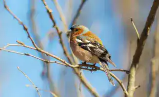 Погода в Алматы: как холодные дни влияют на повседневную жизнь горожан