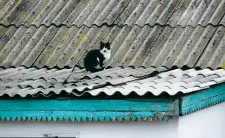 В Коянде, пригороде Астаны, жители сталкиваются с серьезными проблемами, которые продолжаются на протяжении многих лет. Инфраструктура находится в запущенном состоянии, а местные власти не спешат решать вопросы, касающиеся водоснабжения, дорог и обществен