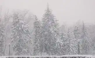 Казахстан в морозном плену: прогноз на декабрьские дни