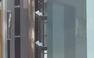 Аким Астаны Женис Касымбек прокомментировал жалобы жителей на проблемы с облицовкой и трещинами в жилых комплексах города.