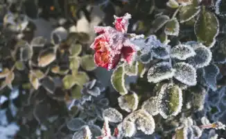 Синоптики Казгидромета предупреждают о сильных морозах в Казахстане: прогноз погоды на январь 2026 года