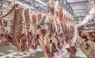 Ограничение вывоза говядины из Казахстана: причины и влияние на рынок и мелкие убойные цеха