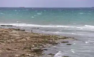 Токаев о сохранении водных ресурсов Каспия на казахско-иранском бизнес-форуме в Астане