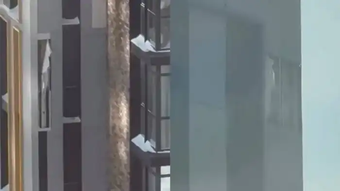 Аким Астаны Женис Касымбек прокомментировал жалобы жителей на проблемы с облицовкой и трещинами в жилых комплексах города. Астане