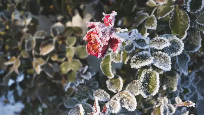 Синоптики Казгидромета предупреждают о сильных морозах в Казахстане: прогноз погоды на январь 2026 года Астане