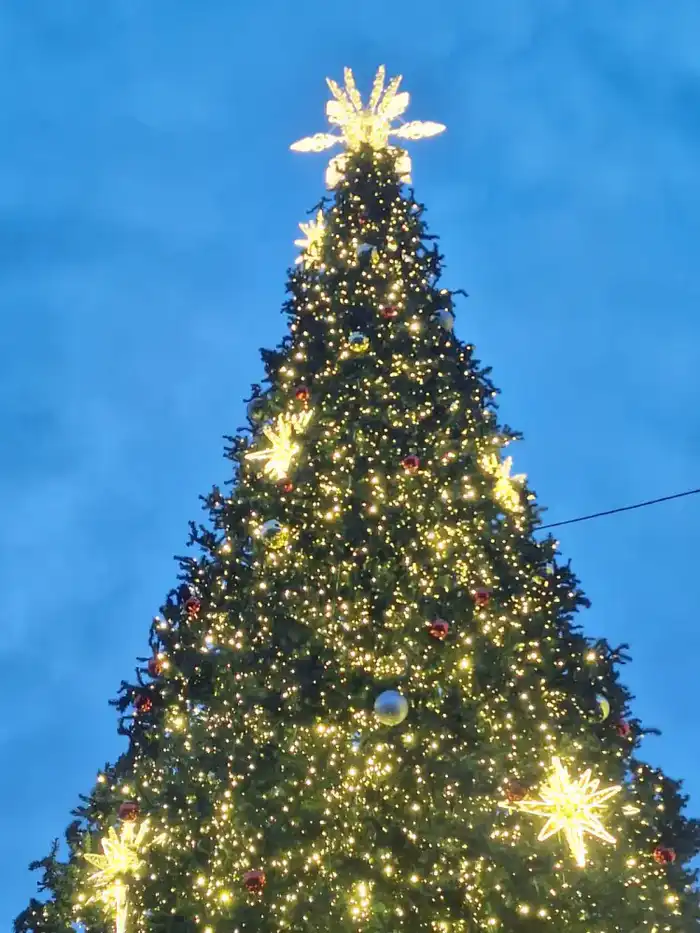 Уважаемые жители и гости города Алматы! (6)