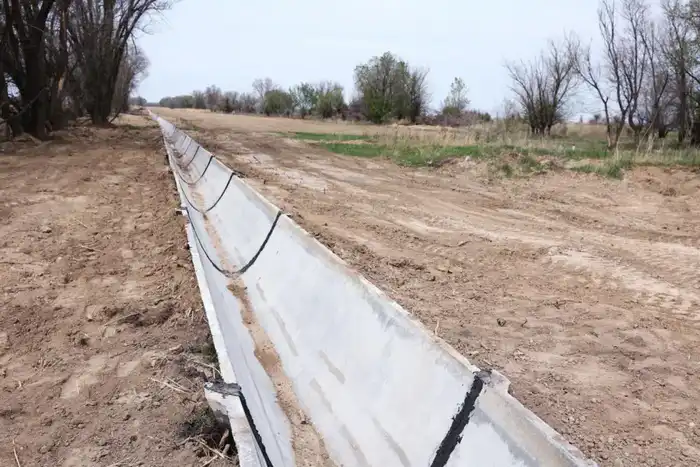 Ремонт 76 каналов в Жамбылской области: улучшение орошения и сокращение посевных площадей Астане
