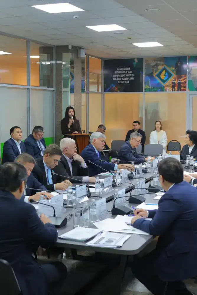 Общественный совет МЭКС рассмотрел итоги первого года реализации Национального проекта Астане