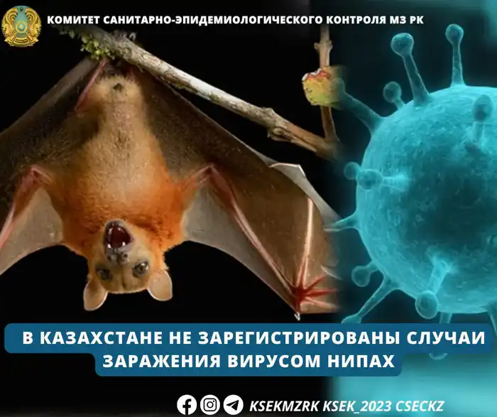 Казахстан: остров спокойствия среди бурь вируса Нипах Астане
