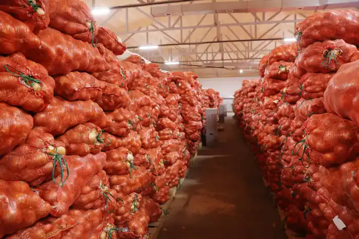 Сельское хозяйство Байзакского района: урожай идей и инвестиционных проектов под крылом Ербола Карашукеева Астане