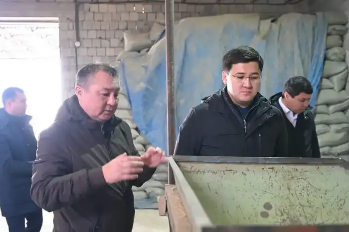 Цех по переработке риса запустили в Туркестанской области (2)