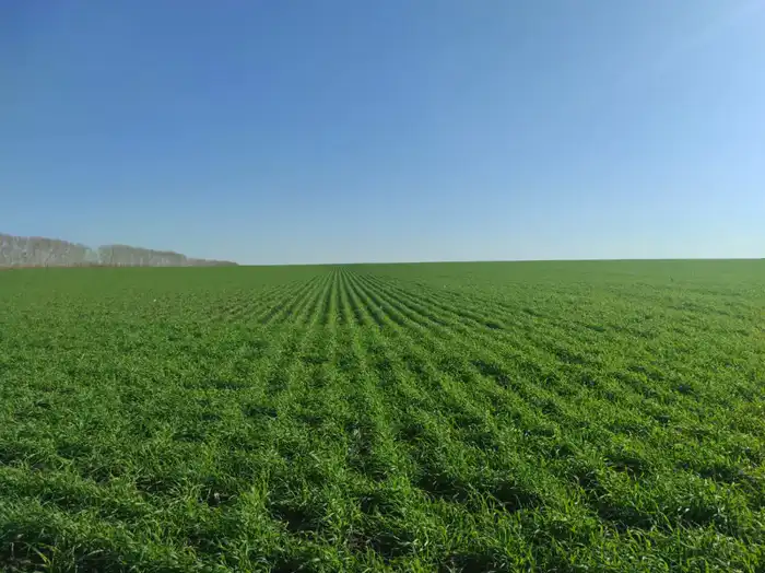 Восточно-Казахстанская область: агросектор на пути к процветанию через стратегию роста Астане