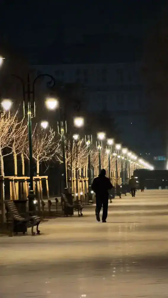 В Алматы часть улицы Пушкина преобразовали в пешеходный бульвар (2)