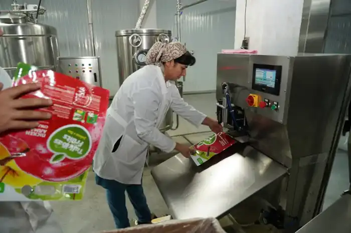 Запуск завода по глубокой переработке фруктов в Туркестанской области: поддержка местных фермеров и производство натуральной продукции Астане