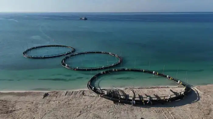 Рост производства рыбной продукции в Казахстане на 10% свидетельствует о стабильном развитии отрасли Астане